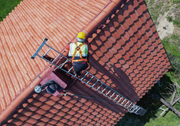 Best Roof Insulation Installation  in Cave Junction, OR